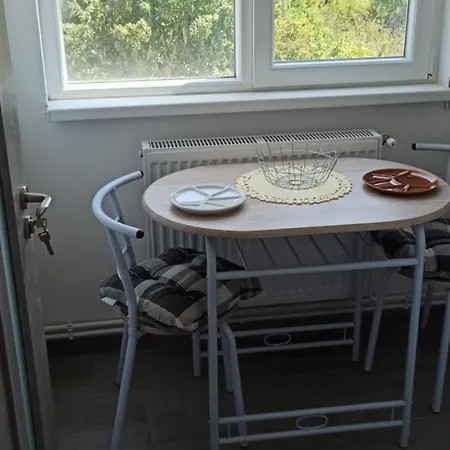 Elsa Apartment Craiova